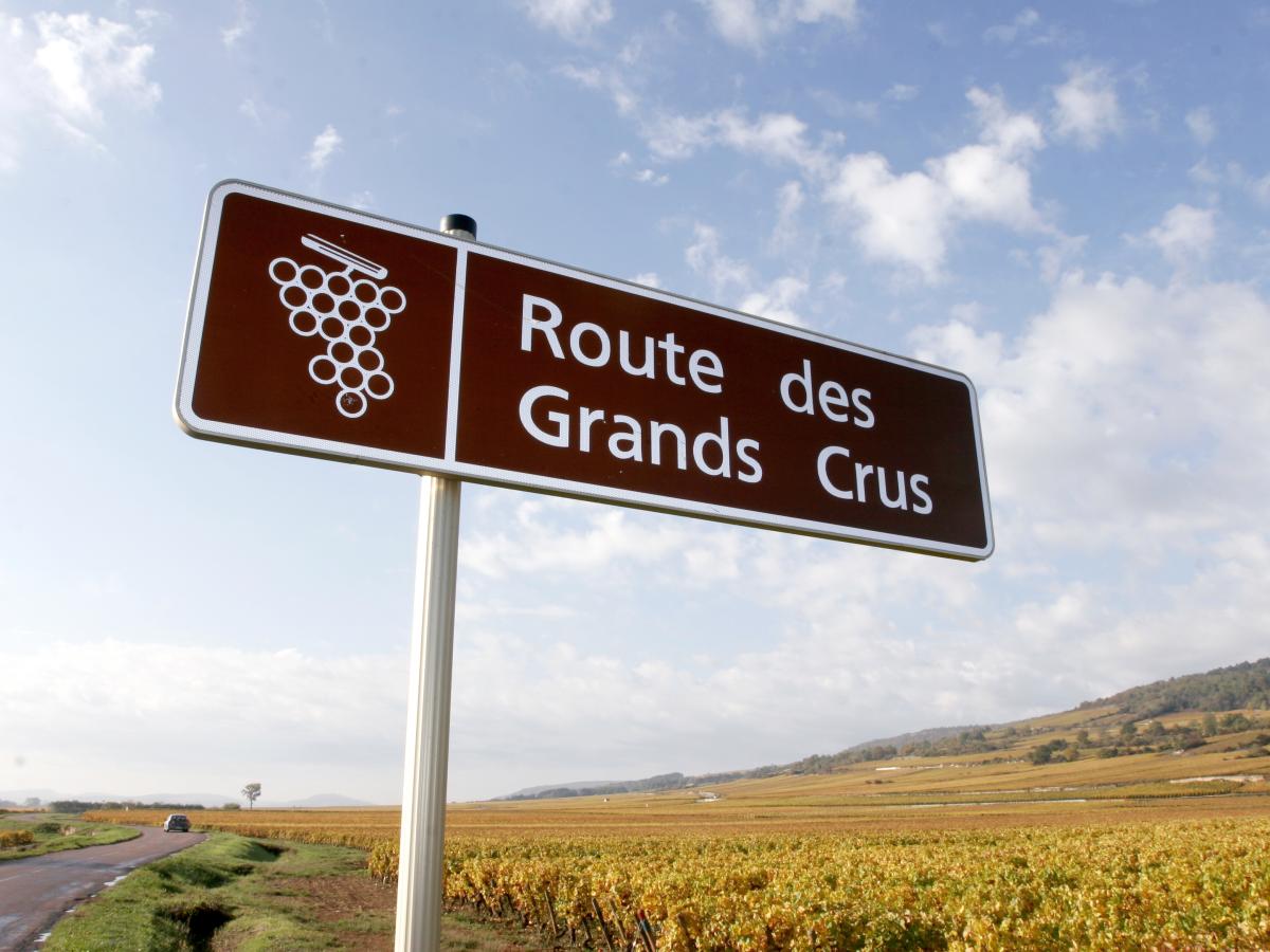 Une virée sur la Route des Grands Crus Beaune et le Pays Beaunois