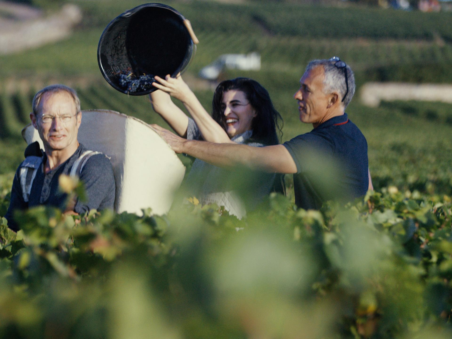 Les Vendanges En Bourgogne Beaune Et Le Pays Beaunois Tourisme