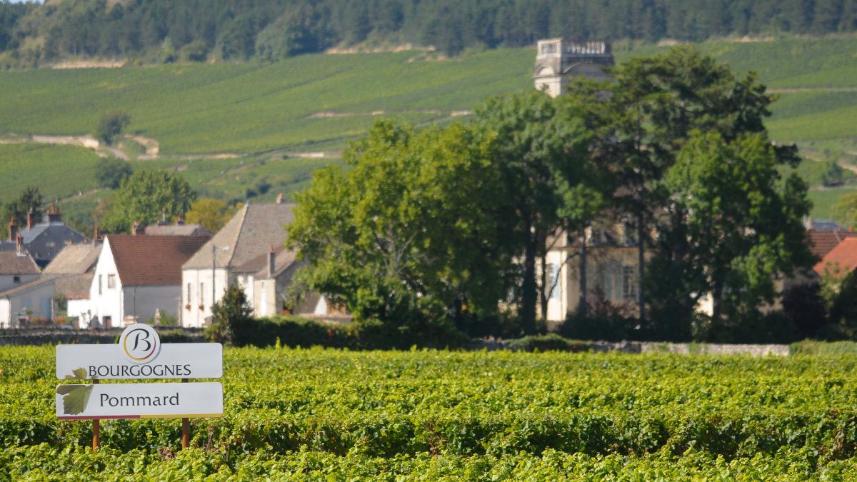 Perto De Chagny Beaune E A Regi O De Beaune Turismo Borgonha