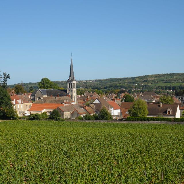 Santenay Beaune And The Beaune Region Tourism Burgundy