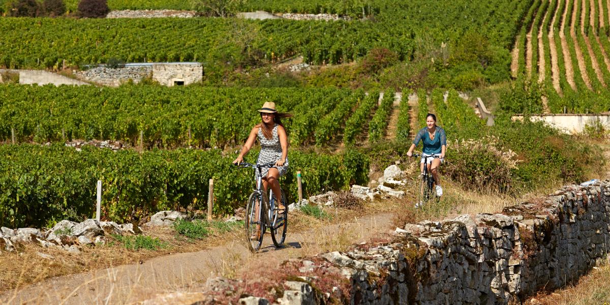 La Voie Des Vignes V Lo Beaune Et Le Pays Beaunois Tourisme Bourgogne