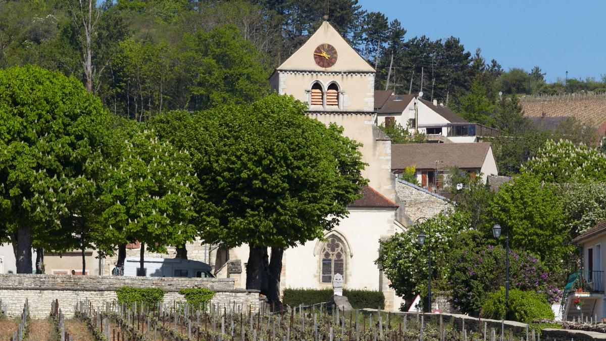 BLIGNY LES BEAUNE Beaune And The Beaune Region Tourism Burgundy