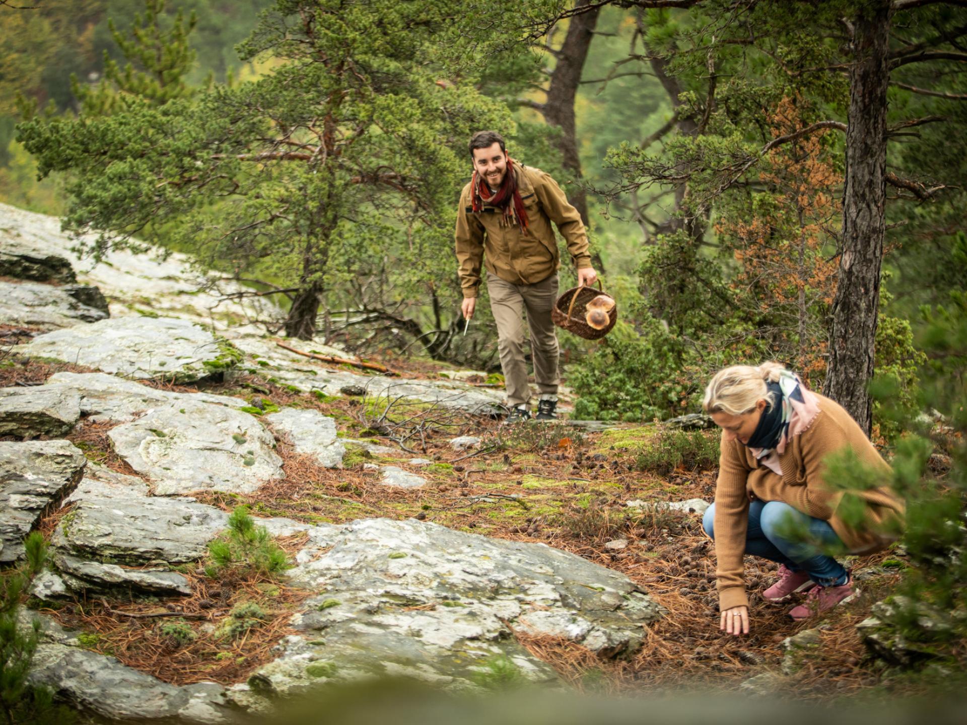 De la cueillette de champignons en foret à la recette avec un chef