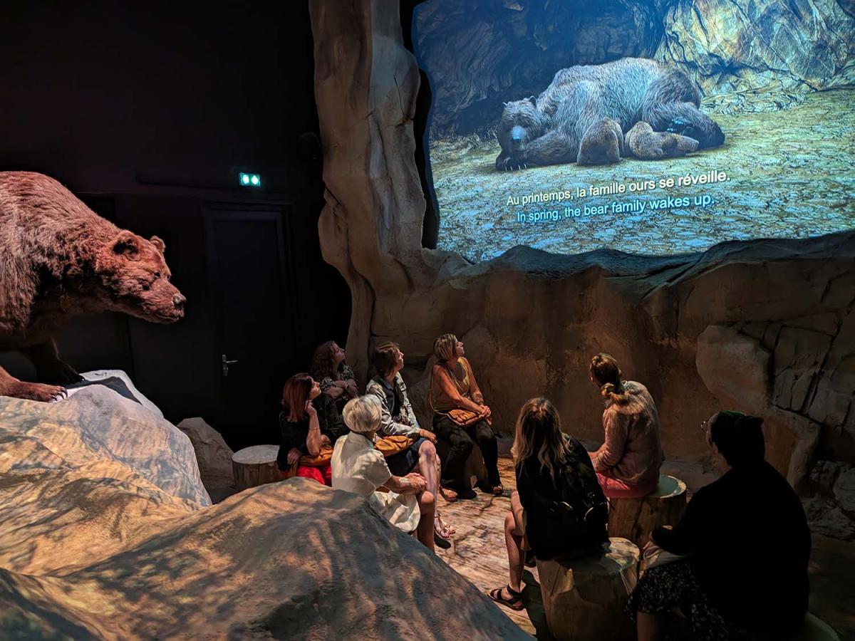 Le Mus E De Lours Des Cavernes Fait Peau Neuve Site Officiel De La