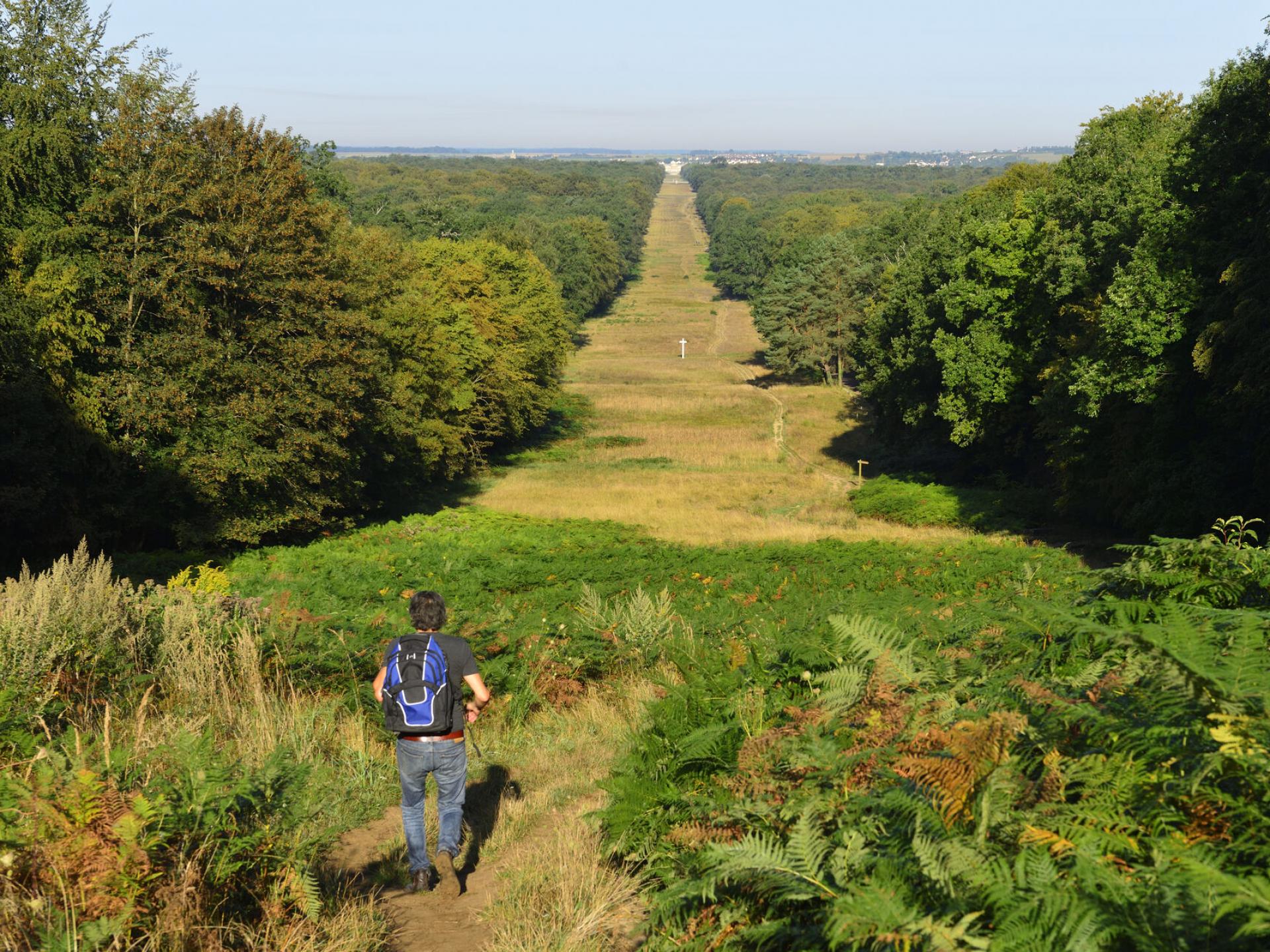 Walks To Boost Your Wellbeing Hauts De France Tourism Official Website