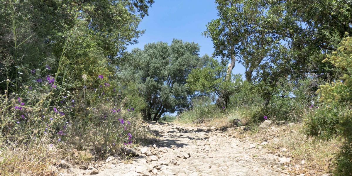 Le Massif Des Maures Aux Portes Du Village Grimaud Tourisme Le