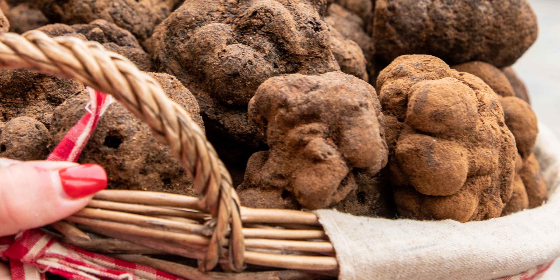 The Truffle Festival Market Charm Of Provence French Riviera