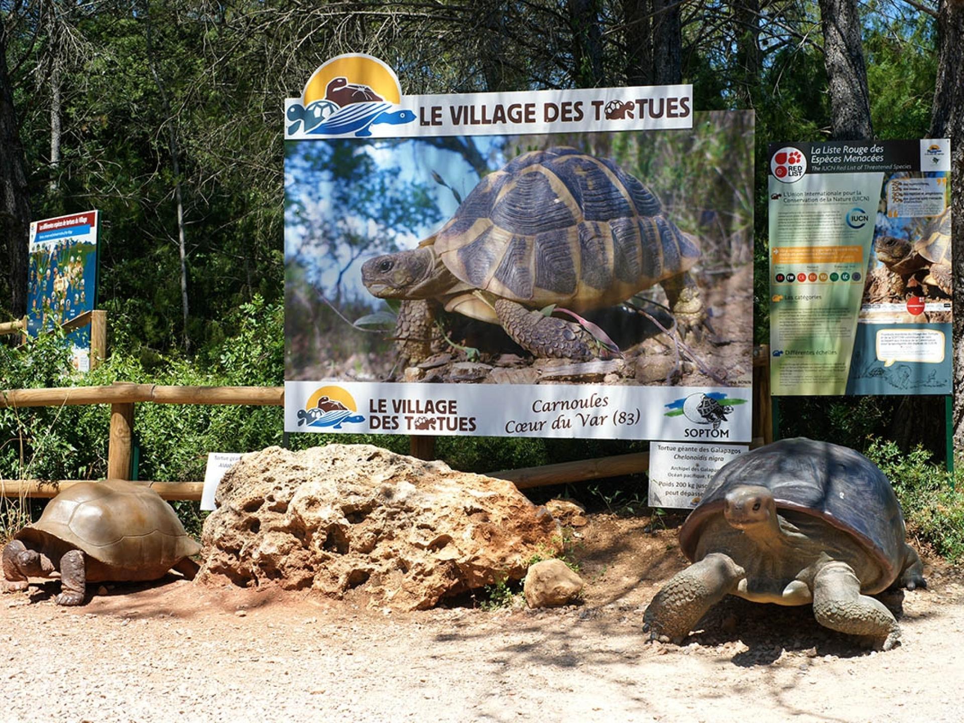 La Tortue Des Maures Grimaud Tourisme Le Charme De La Provence Et