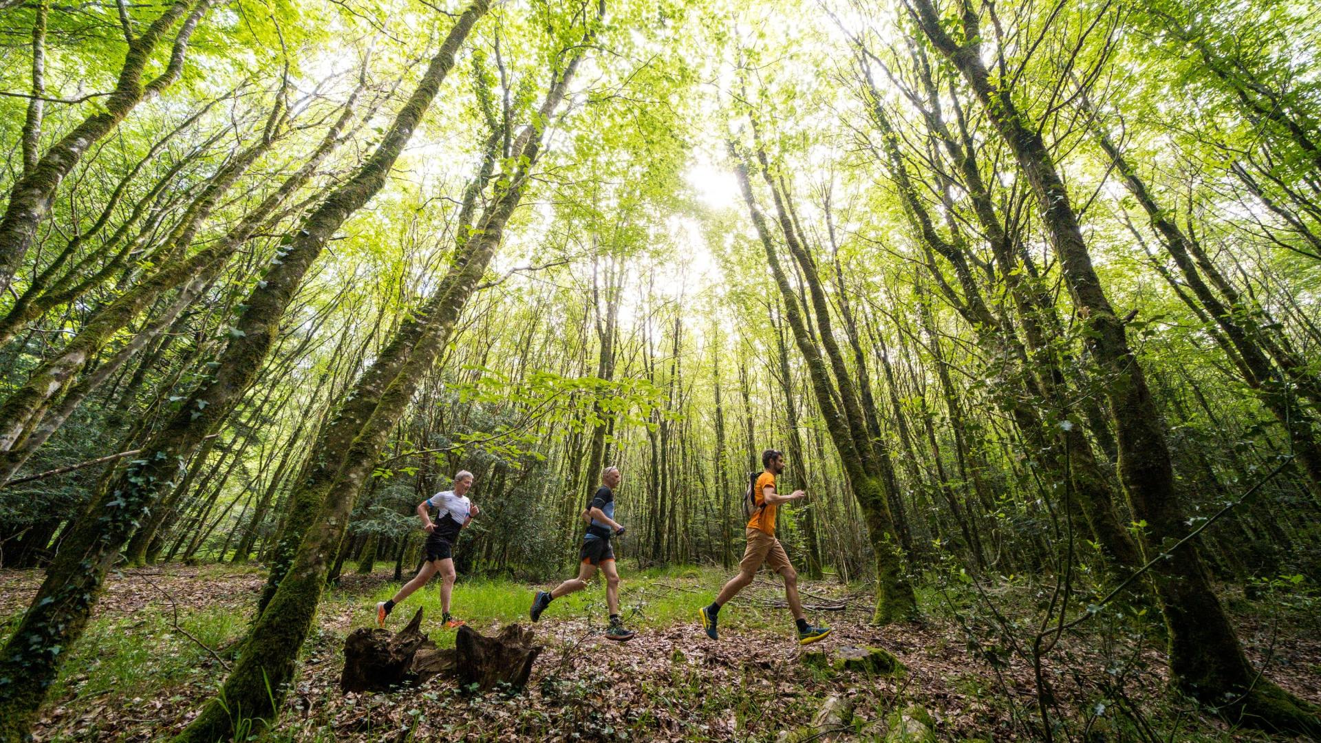 Top 10 des rochers les plus insolites Office de Tourisme de la Côte