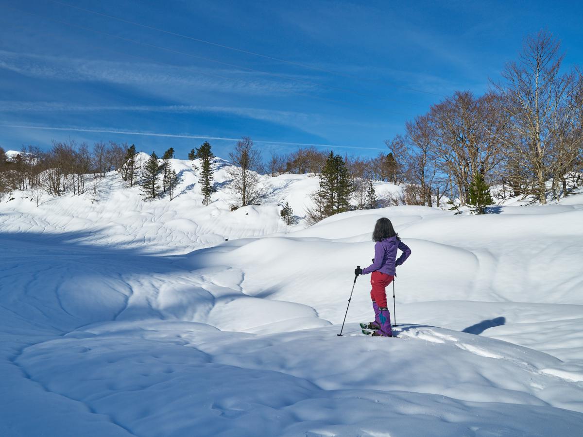 Prix forfaits de ski remontées mécaniques La Pierre Saint Martin