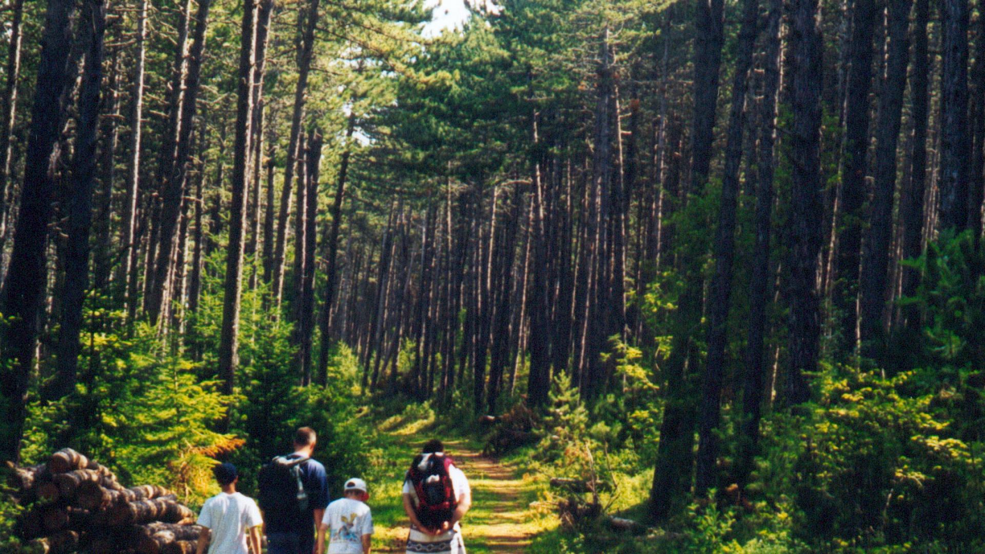 Causse Mende Leisure Outdoor Activities Near Mende In South France