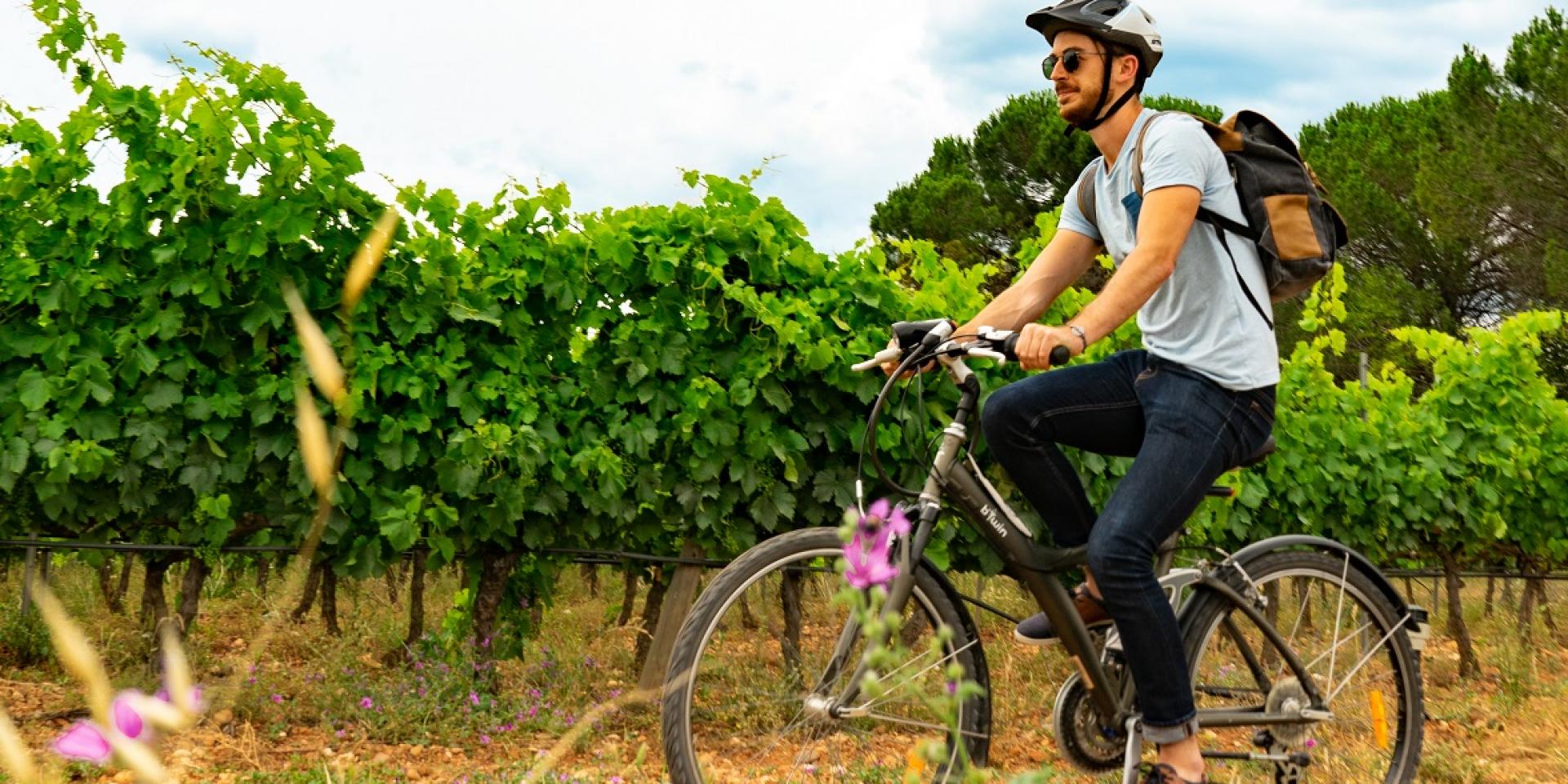 Activit S Labellis Es Vignobles Et D Couvertes Montpellier Tourisme