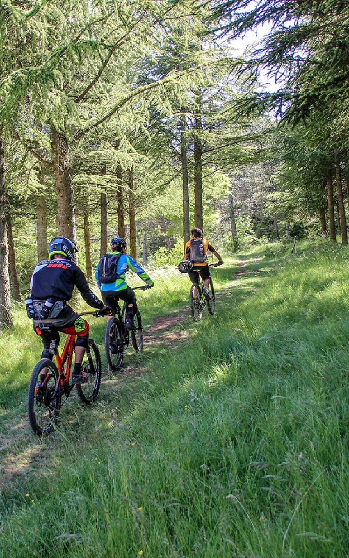 Balades Ruth Noises En Pleine Nature Office De Tourisme Rodez