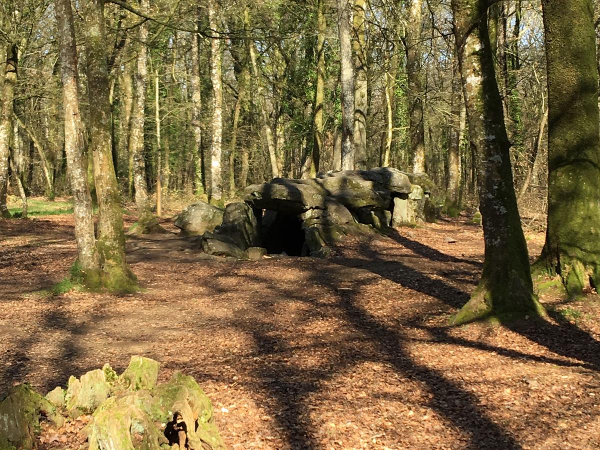 Passerella Coperta Nella Foresta Di Mesnil Saint Malo Baia Di Mont