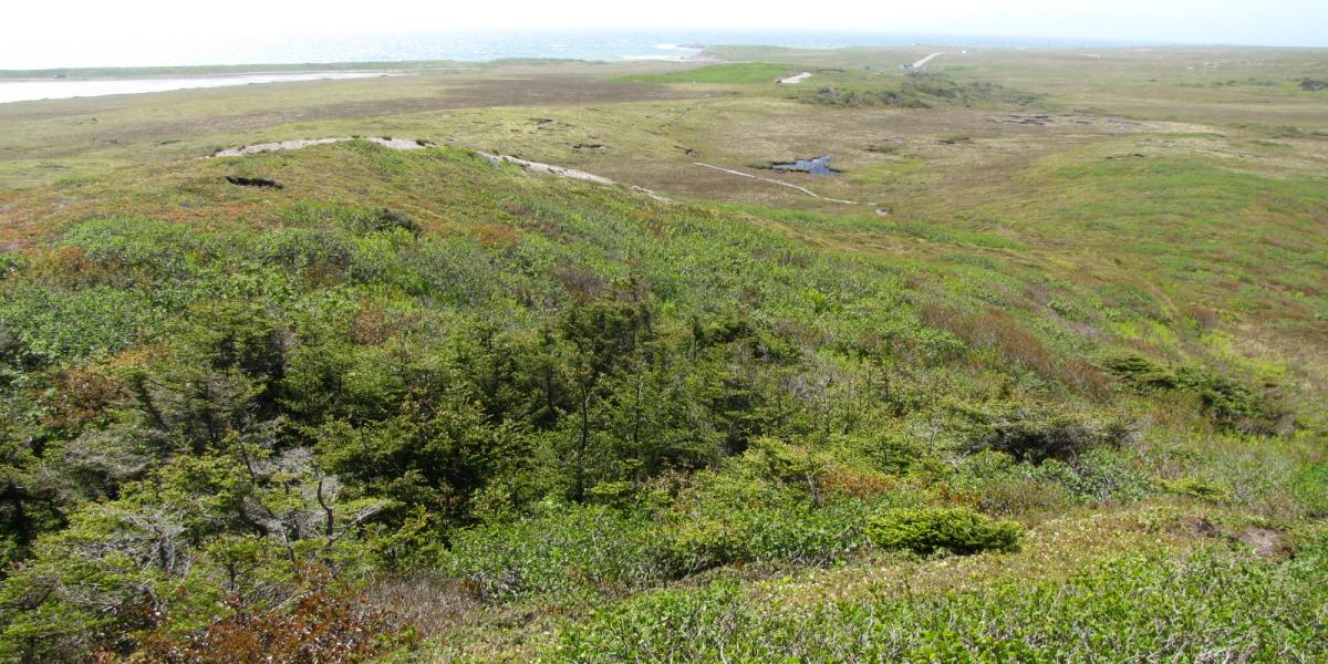 Buttes dégarnies sentier Tourisme Saint Pierre et Miquelon