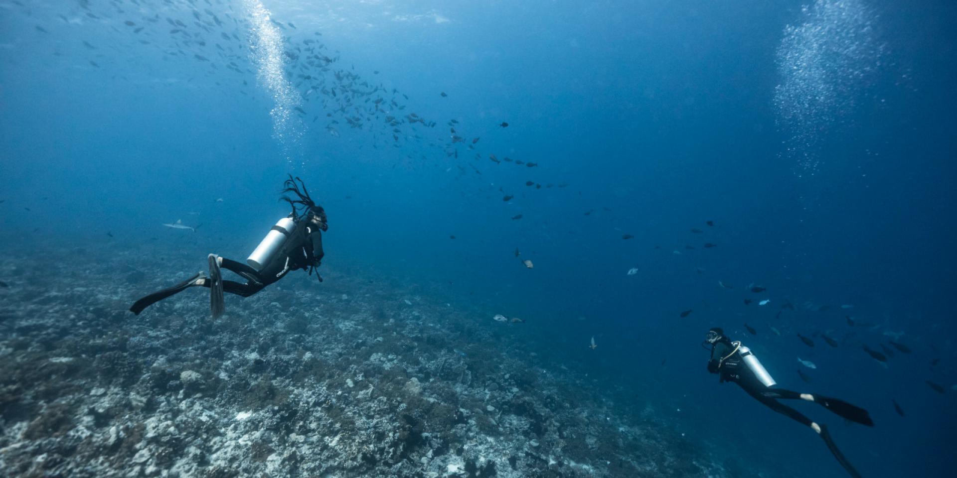 Trouvez un spot de plongée Site Corporate de Tahiti Tourisme