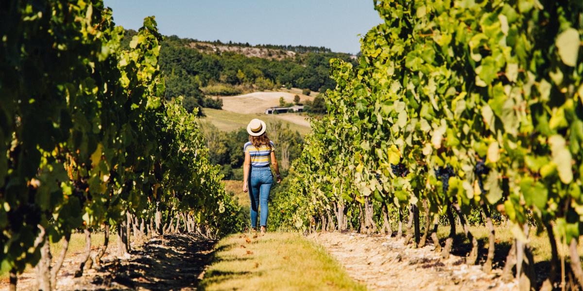 Vignobles Découvertes Tarn et Garonne Tourisme