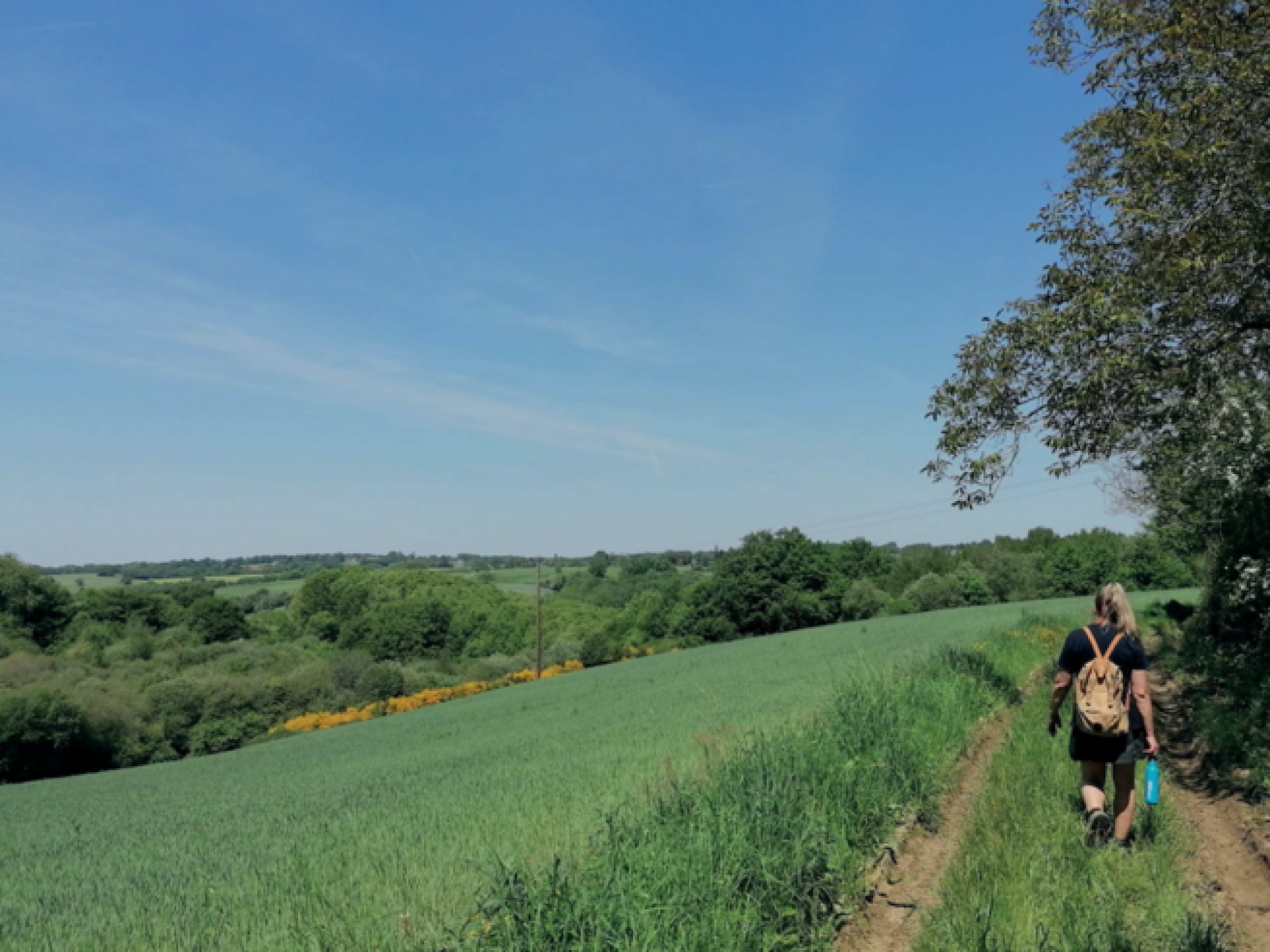 Notre sélection de balades à faire avec de beaux panoramas Limousin