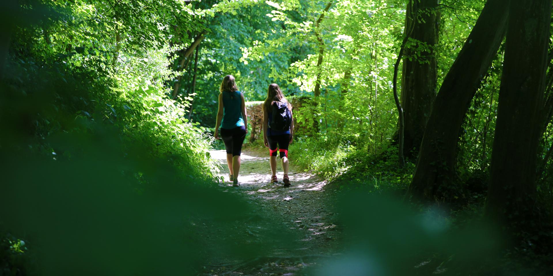 Top 5 des lieux rafraîchissants du Terroir de Caux Office de Tourisme