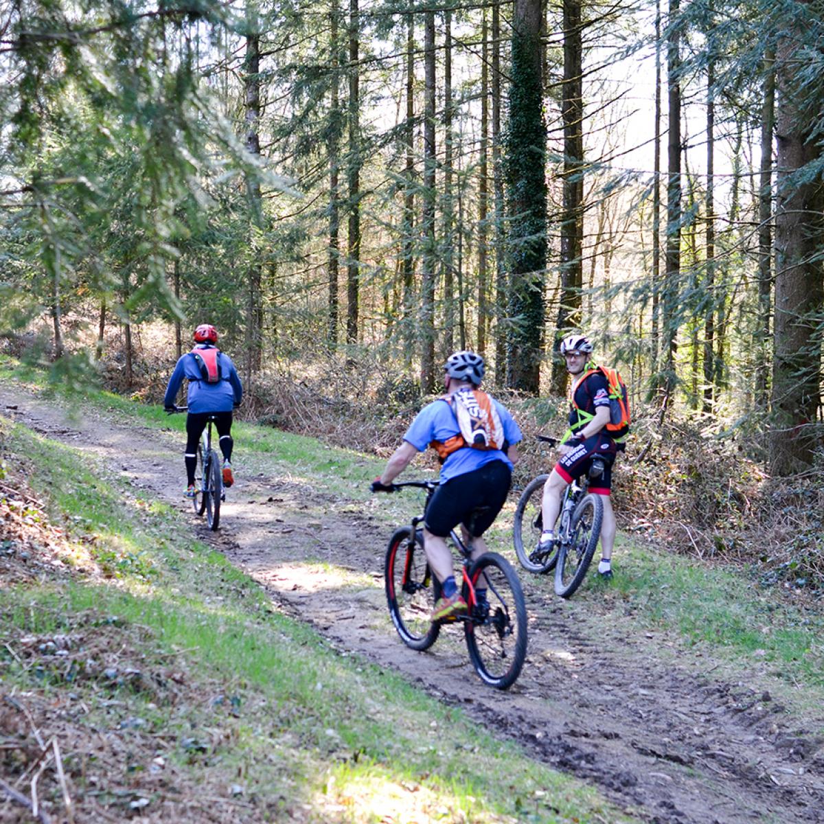 Site VTT FFC des Monts de Guéret Tourisme Creuse Limousin