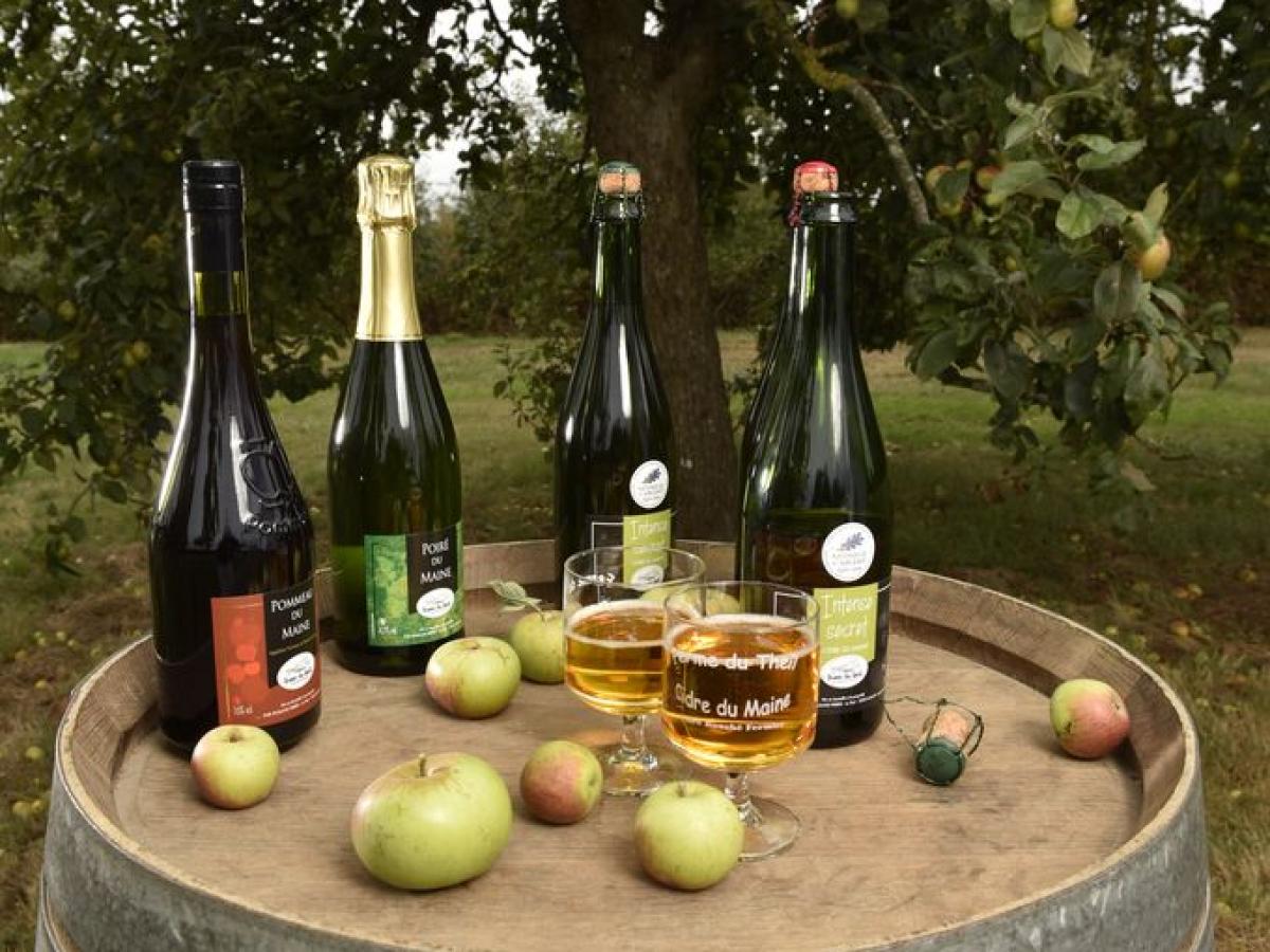 La Mayenne Lautre Pays Du Cidre Portail Du Tourisme Du D Partement