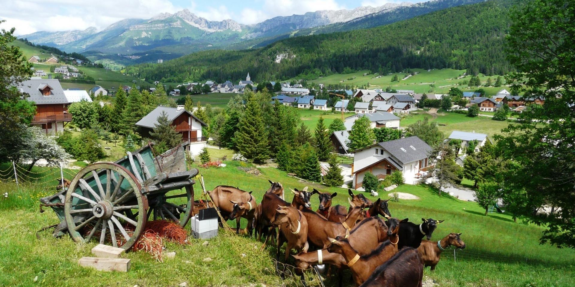 Visite Et Degustation La Ferme Office De Tourisme De Villard De