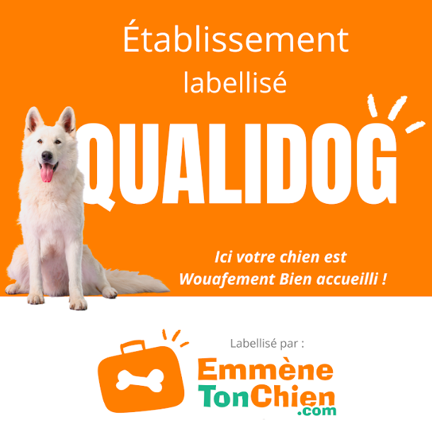 Qualidog