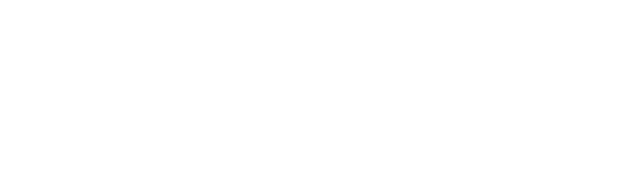 Logo ffv