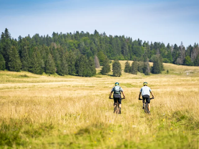VTT ballade sportive