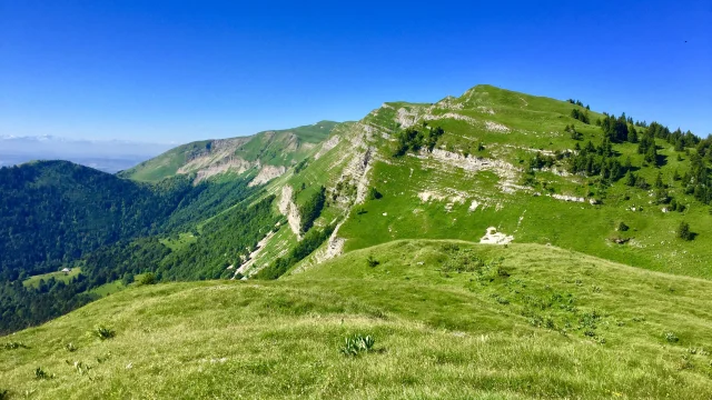 Mont Jura