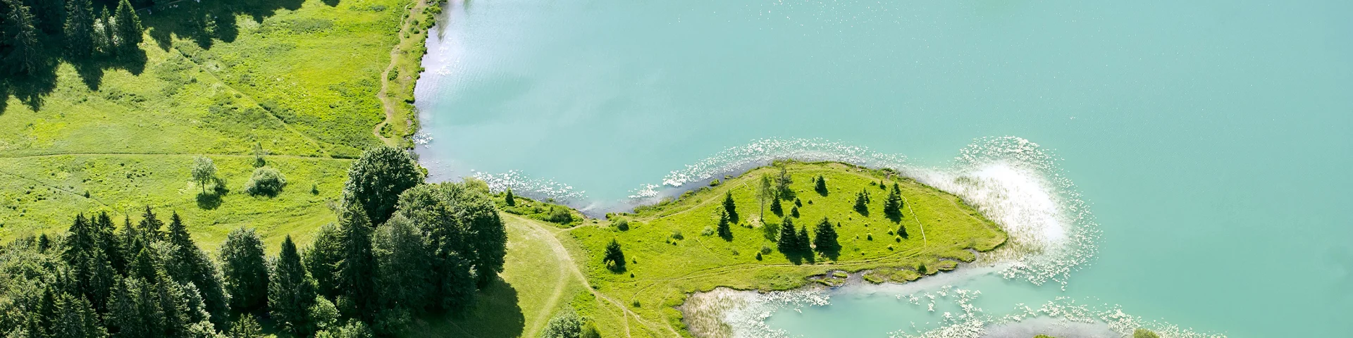 Lac Genin