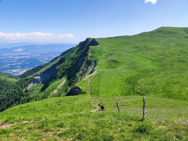 Crèt Printemps