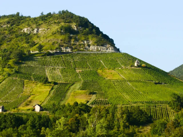 Vignoble du Bugey