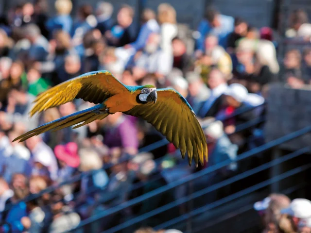 Parc des Oiseaux