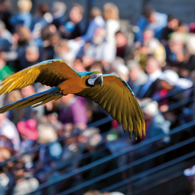 Parc des Oiseaux