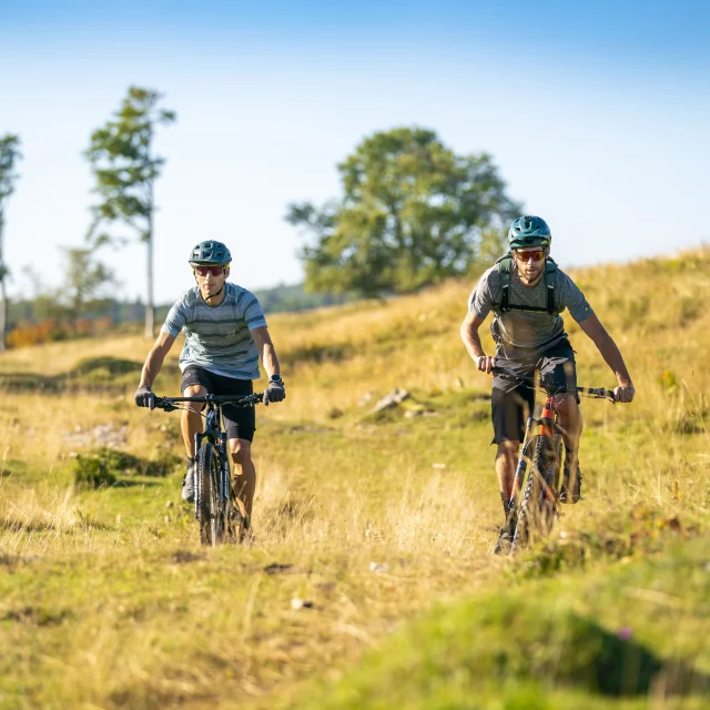 Mountainbiken in der Natur - Bugey