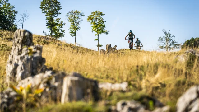 Mountain biking in the countryside