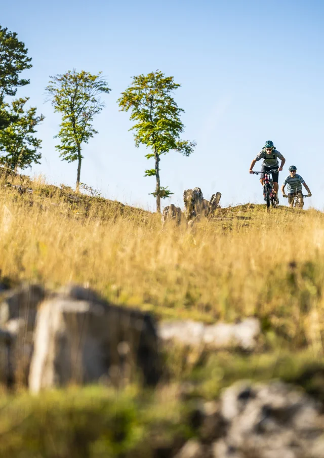 Mountain biking in the countryside