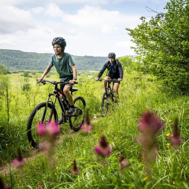 Family mountain biking in the great outdoors