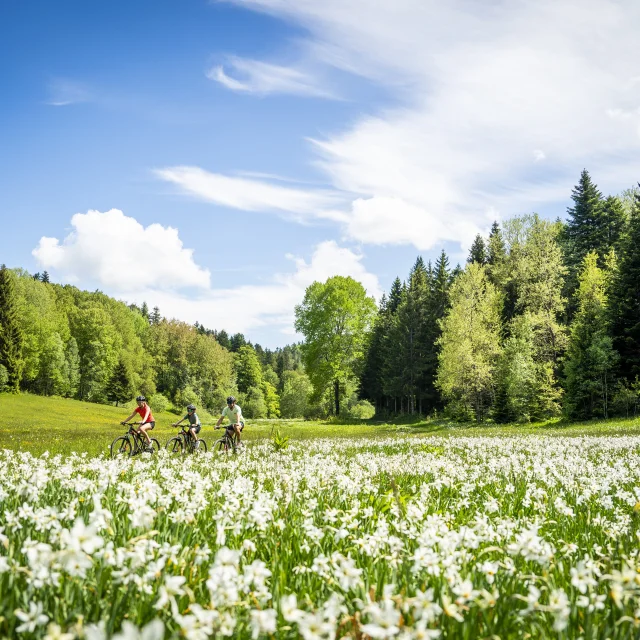 VTT en pleine nature en famille