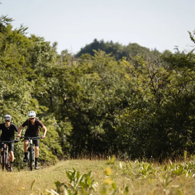 VTT en pleine nature