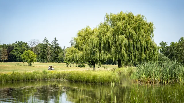 Golf de Mionnay