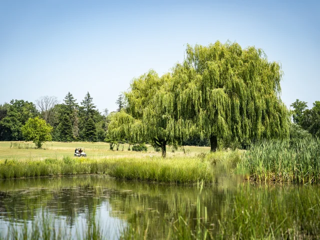 Golf de Mionnay