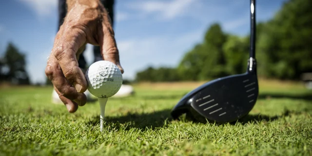 Golf de la Bresse
