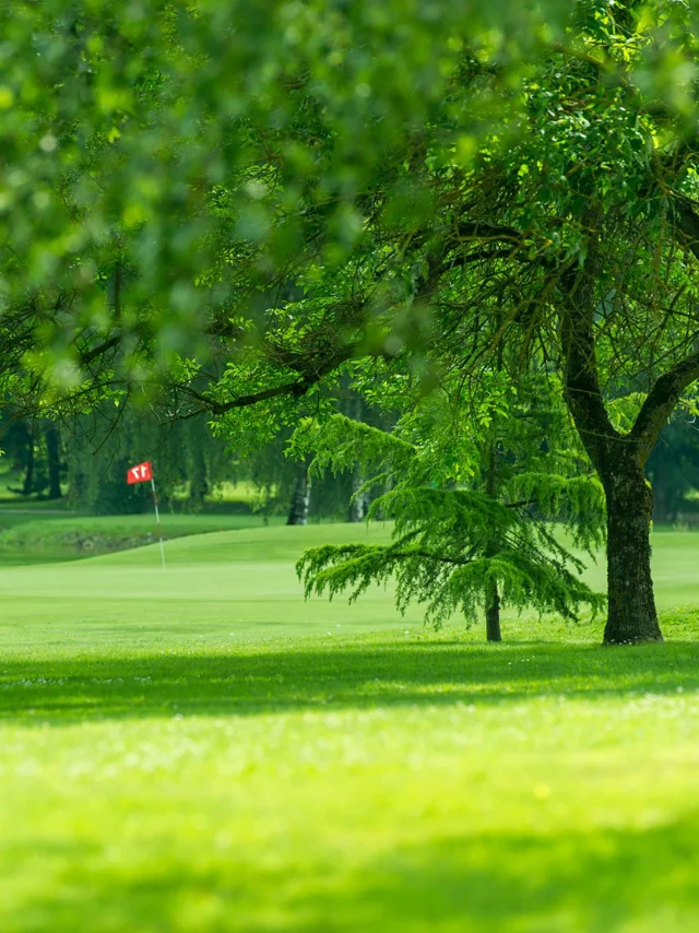 Golf du Clou