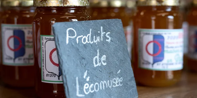 Maison de Pays en Bresse