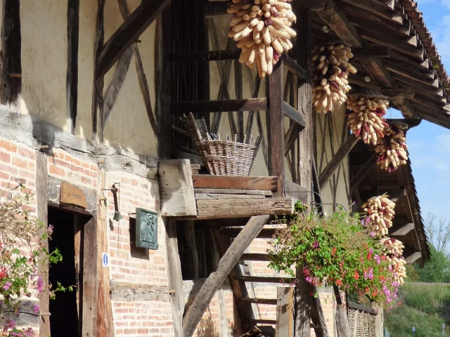 Maison de Pays en Bresse