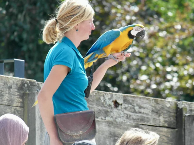 Parc des Oiseaux