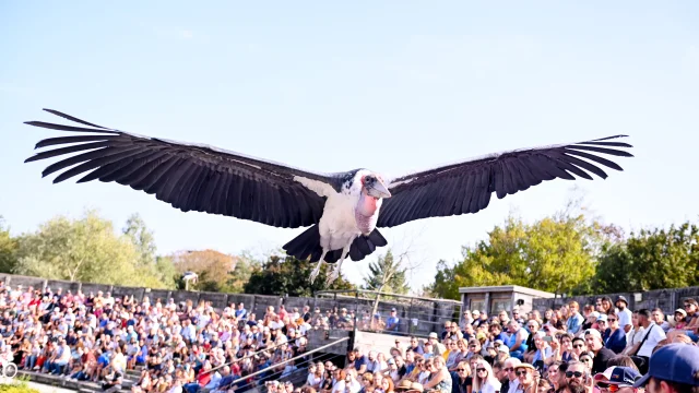 Parc des Oiseaux