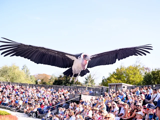 Parc des Oiseaux